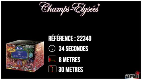 22340 Gamme Champs Elysées® Le 31 36 Départs Calibre 20mm